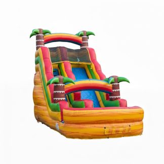 Water Slide Palm Tree rental,Springfield TN party rentals, tropical water slide, inflatable slide rental, summer party rental, kids water activities, backyard fun Springfield, event rentals Tennessee, luau party slide